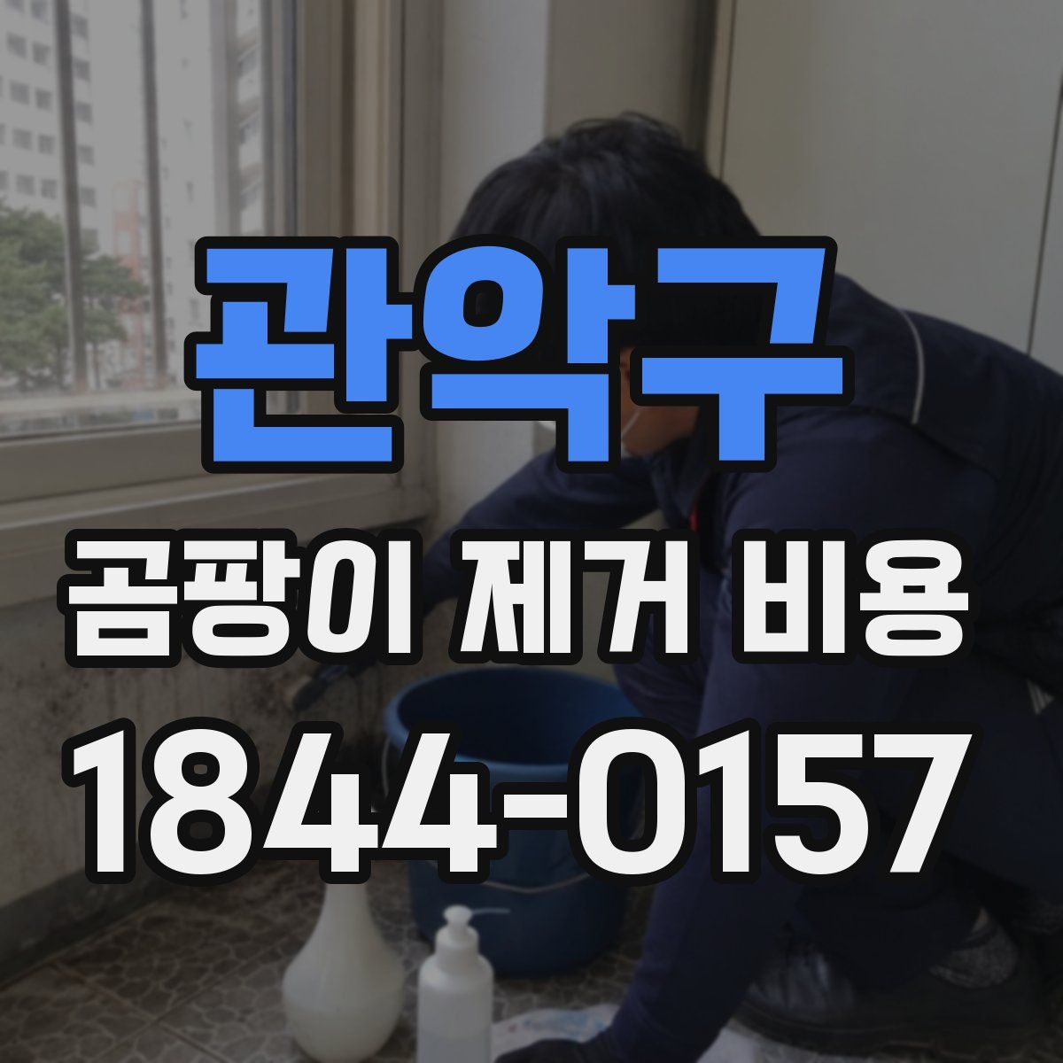 관악구 곰팡이 제거 비용