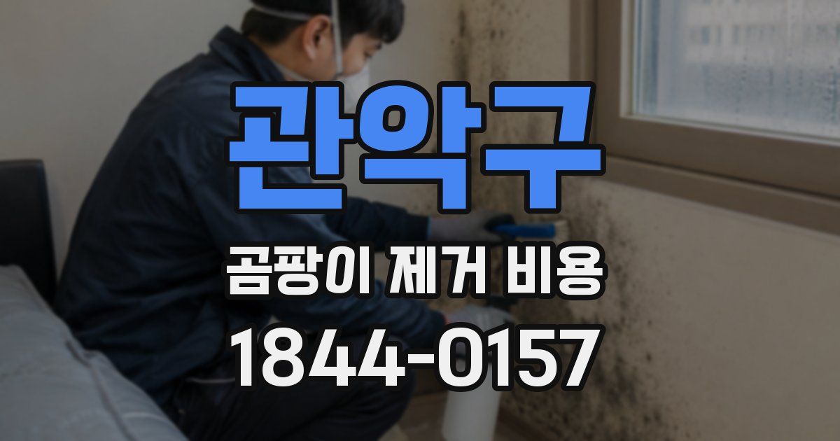 관악구 곰팡이 제거 비용