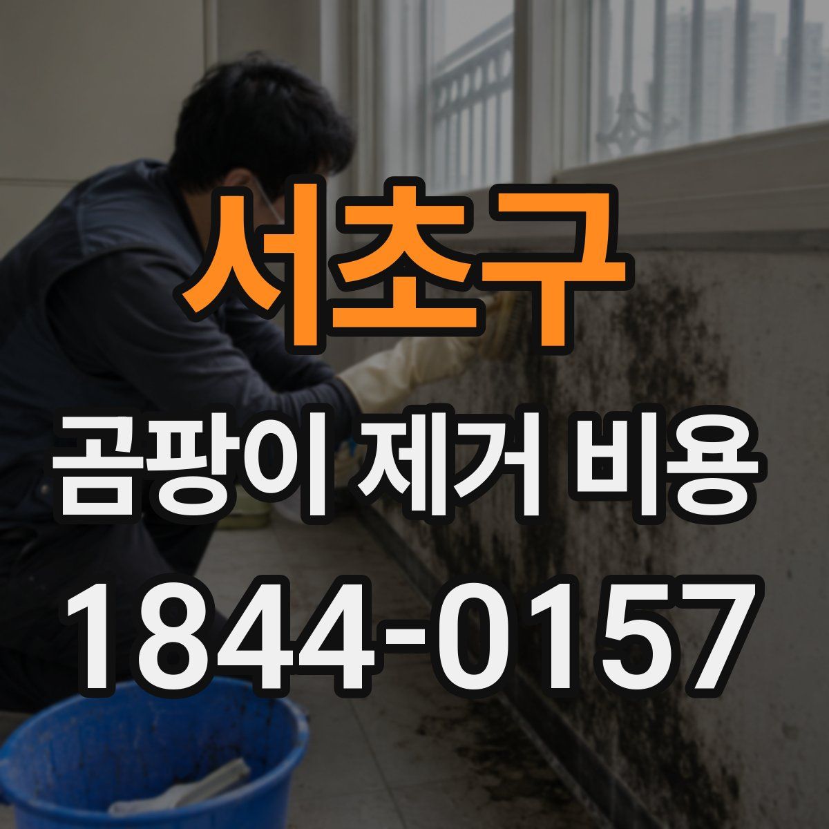 서초구 곰팡이 제거 비용