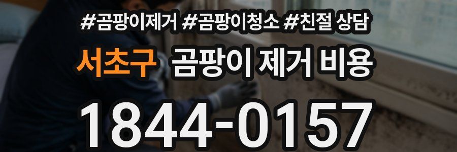 서초구 곰팡이 제거 비용