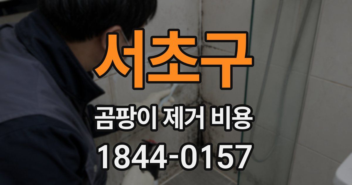 서초구 곰팡이 제거 비용