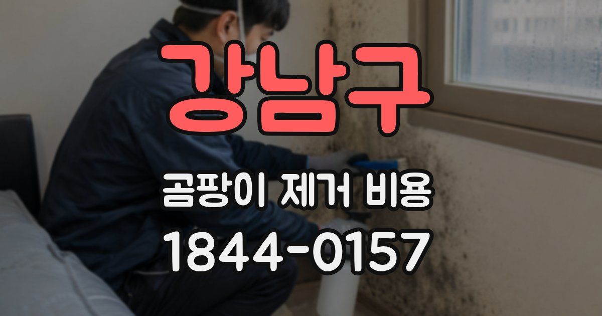 강남구 곰팡이 제거 비용