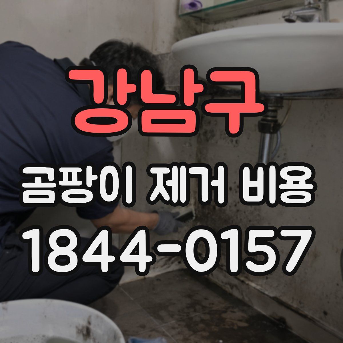 강남구 곰팡이 제거 비용