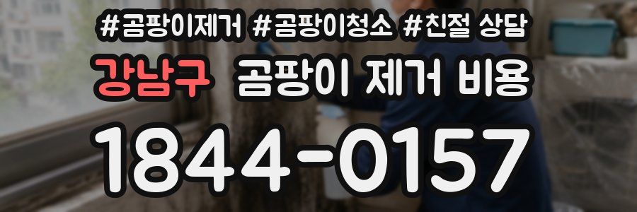 강남구 곰팡이 제거 비용