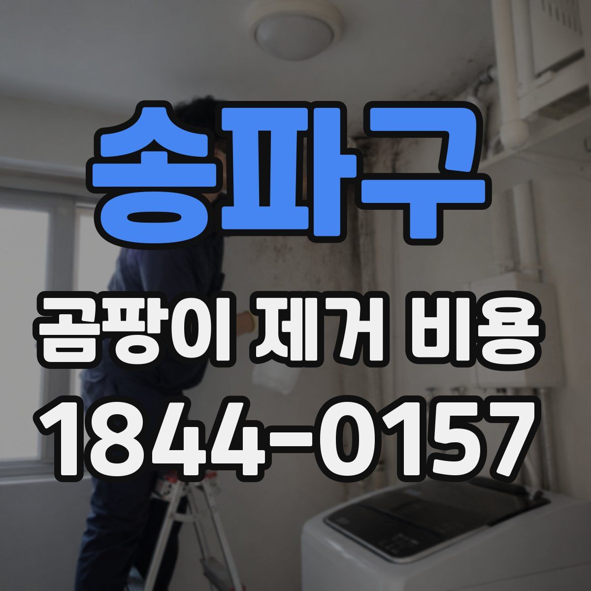 송파구 곰팡이 제거 비용