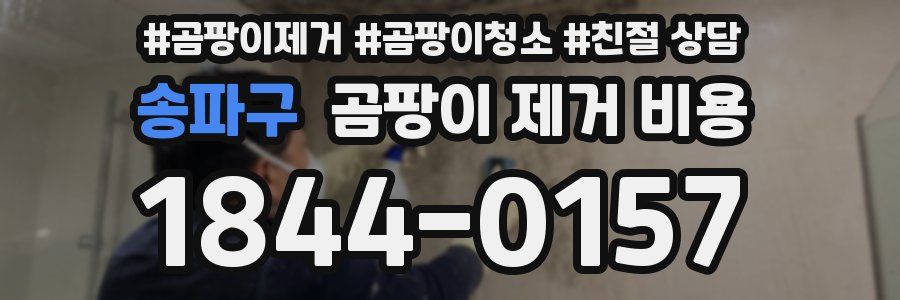 송파구 곰팡이 제거 비용