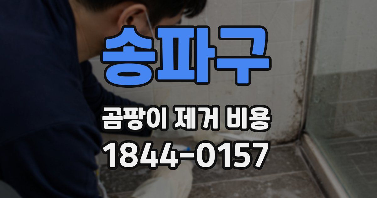 송파구 곰팡이 제거 비용