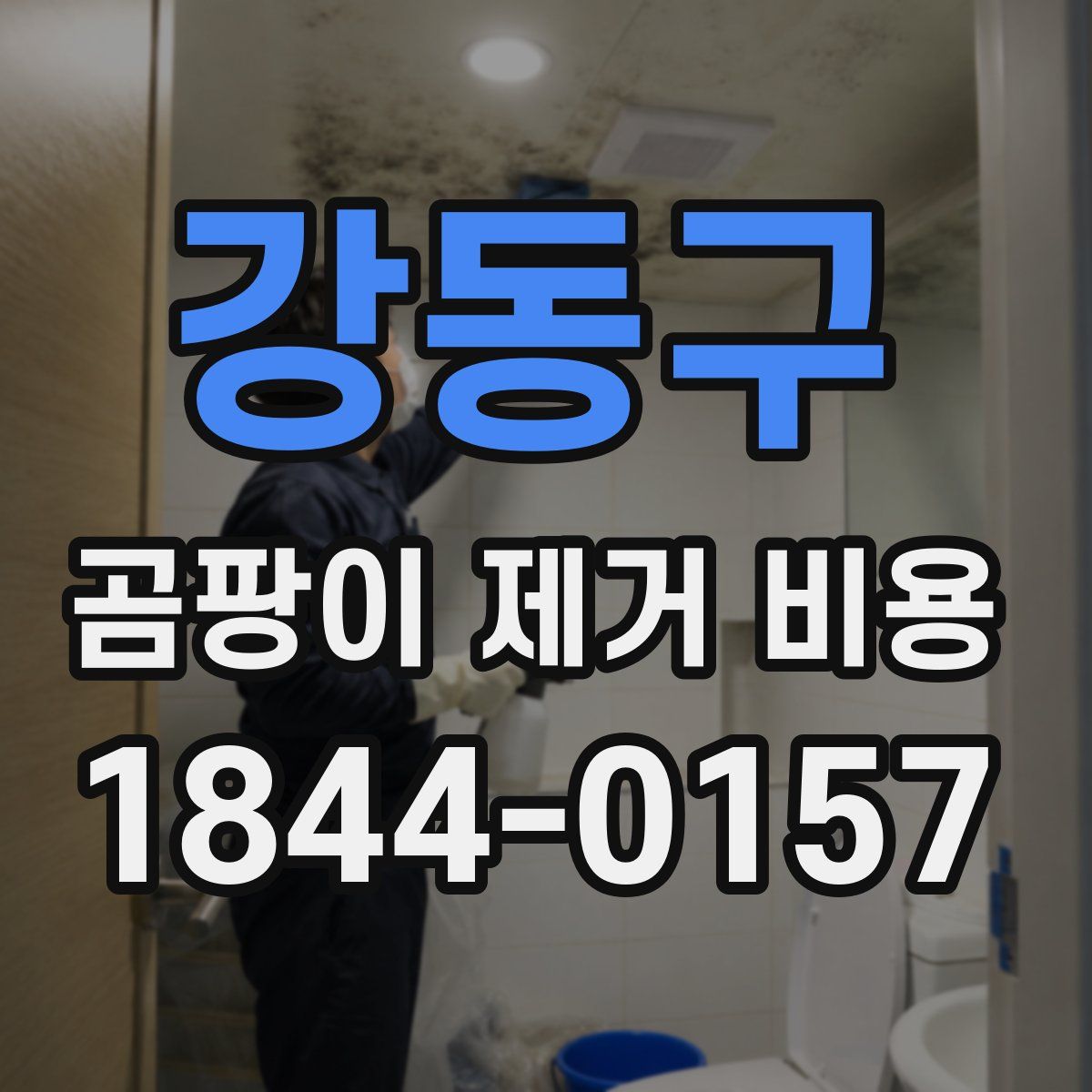강동구 곰팡이 제거 비용