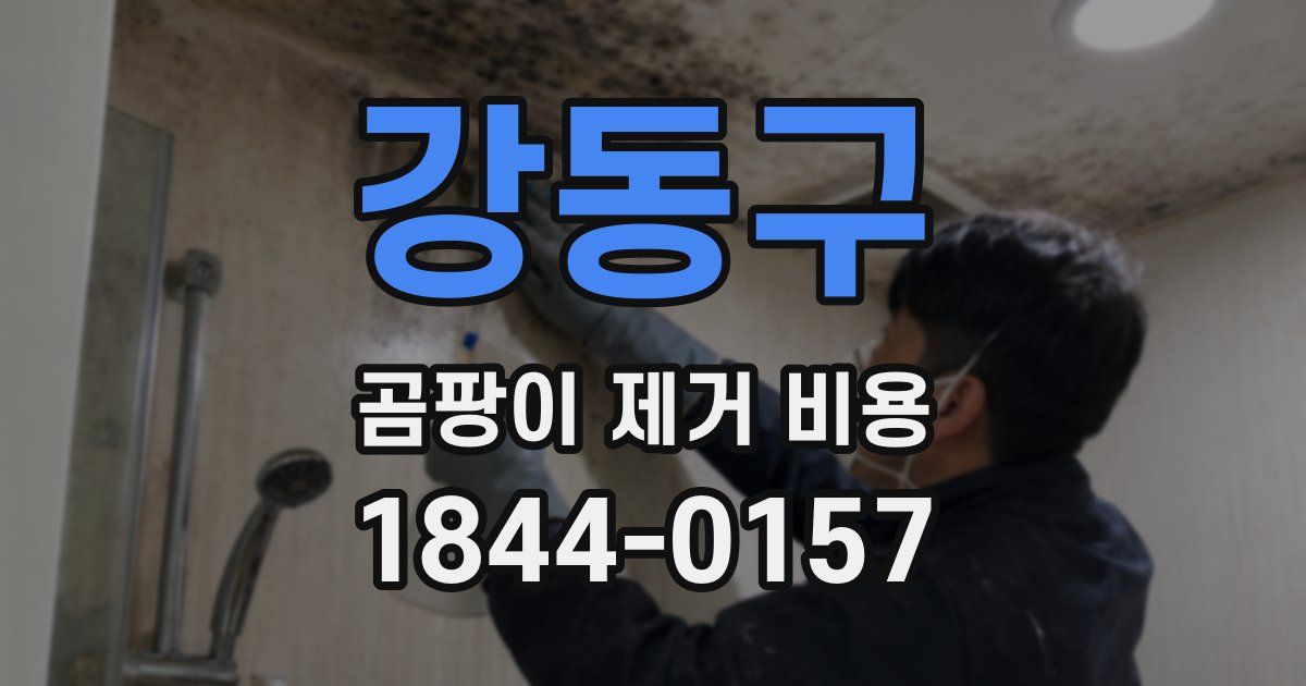 강동구 곰팡이 제거 비용