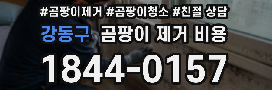 강동구 곰팡이 제거 비용