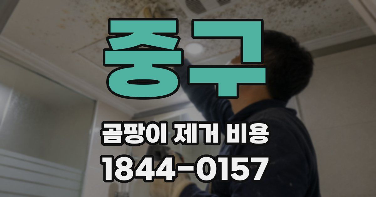 중구 곰팡이 제거 비용
