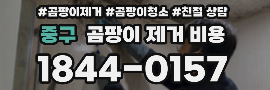 중구 곰팡이 제거 비용