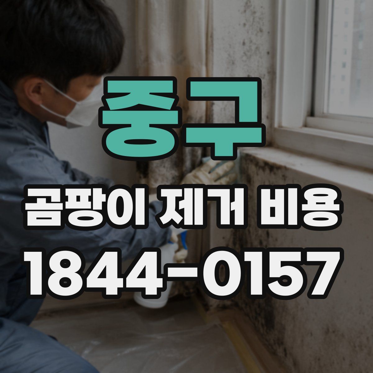 중구 곰팡이 제거 비용