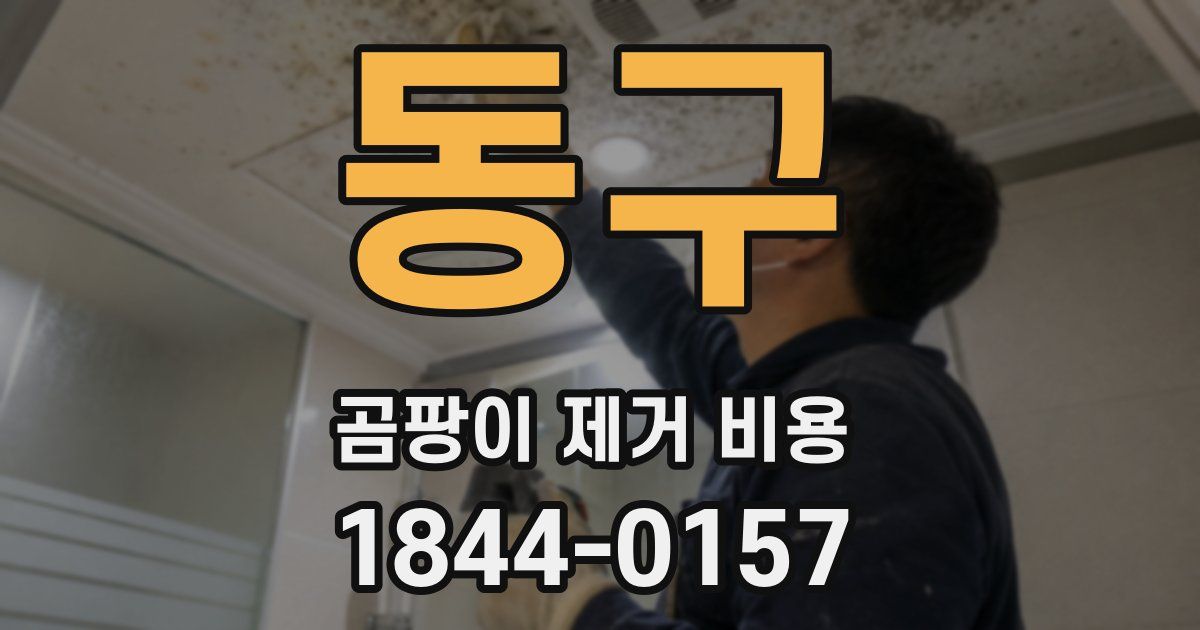 동구 곰팡이 제거 비용