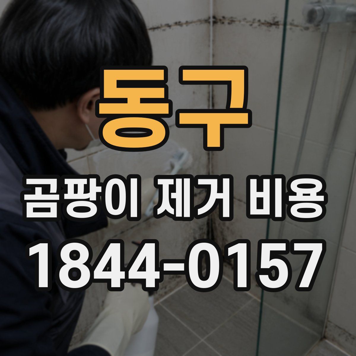 동구 곰팡이 제거 비용