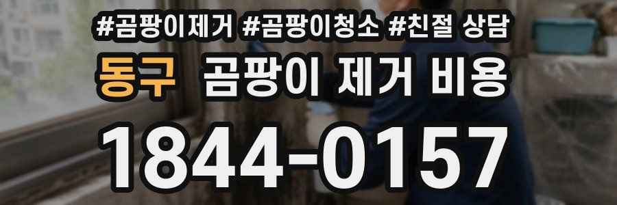 동구 곰팡이 제거 비용