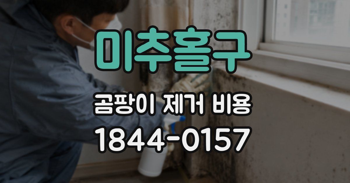 미추홀구 곰팡이 제거 비용