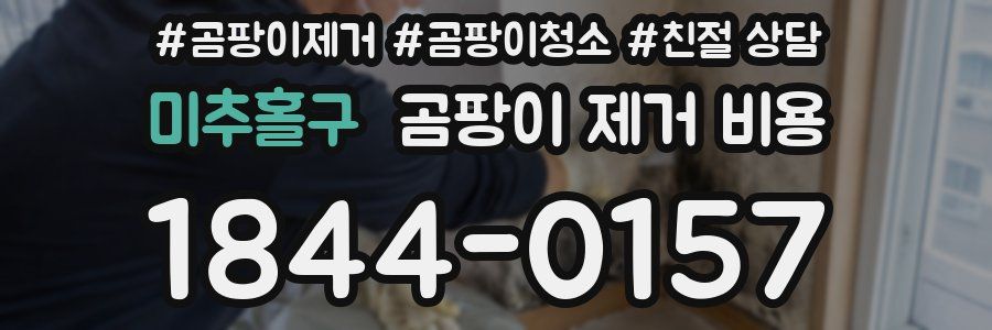 미추홀구 곰팡이 제거 비용
