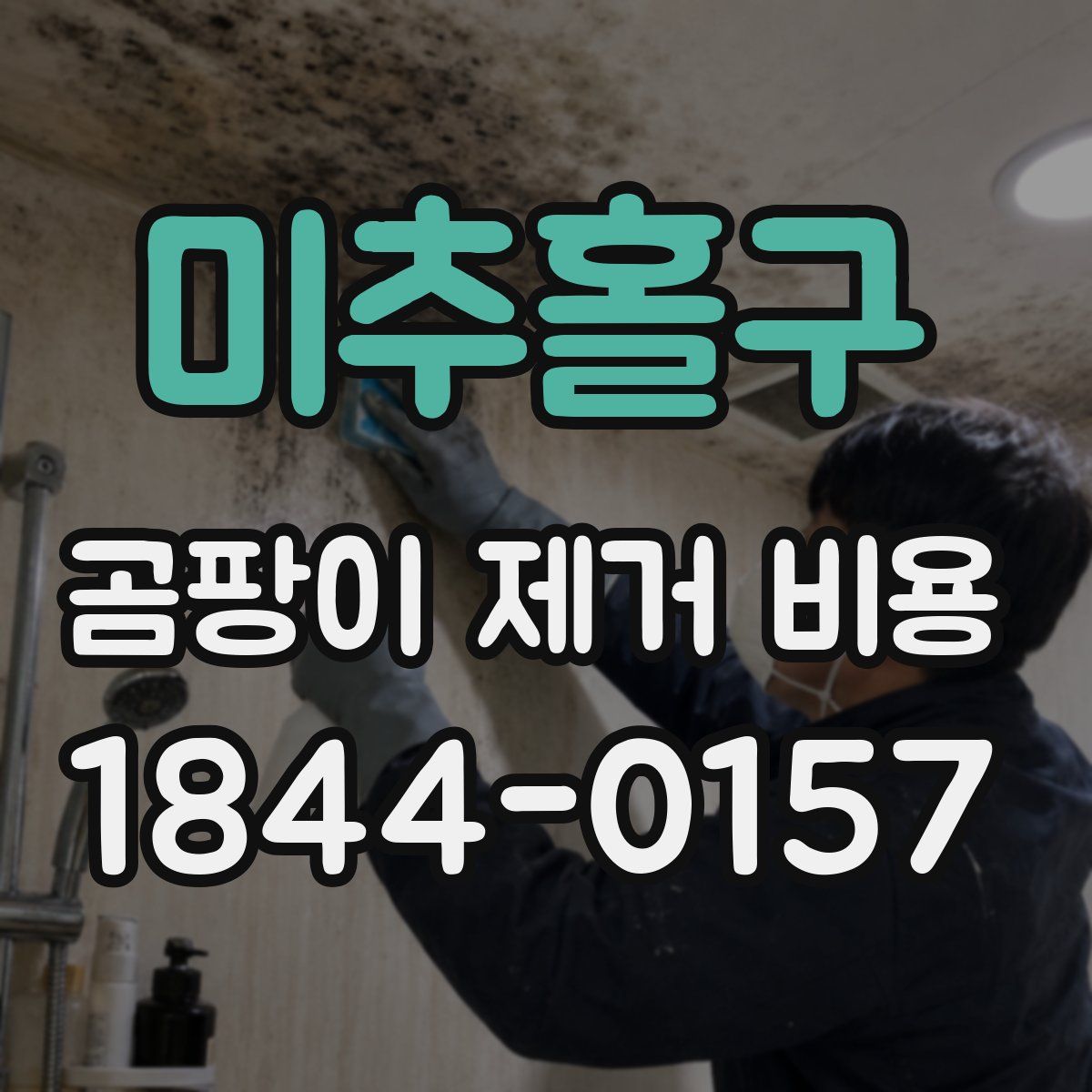 미추홀구 곰팡이 제거 비용