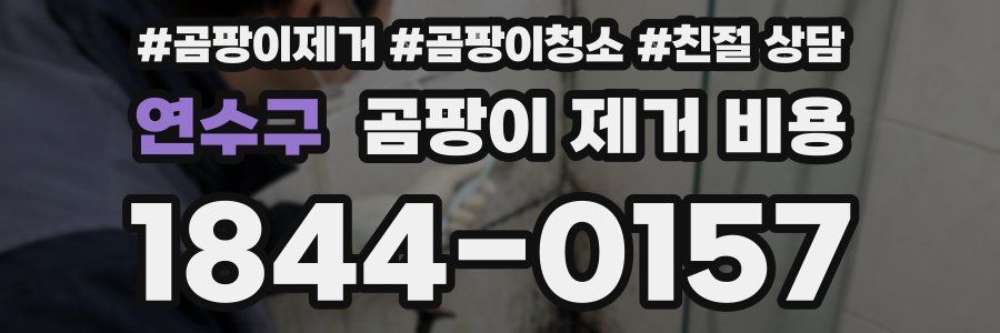 연수구 곰팡이 제거 비용