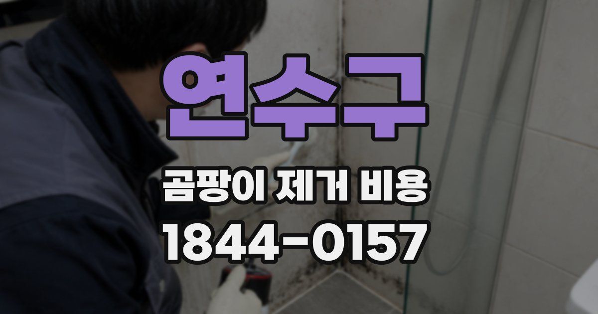 연수구 곰팡이 제거 비용