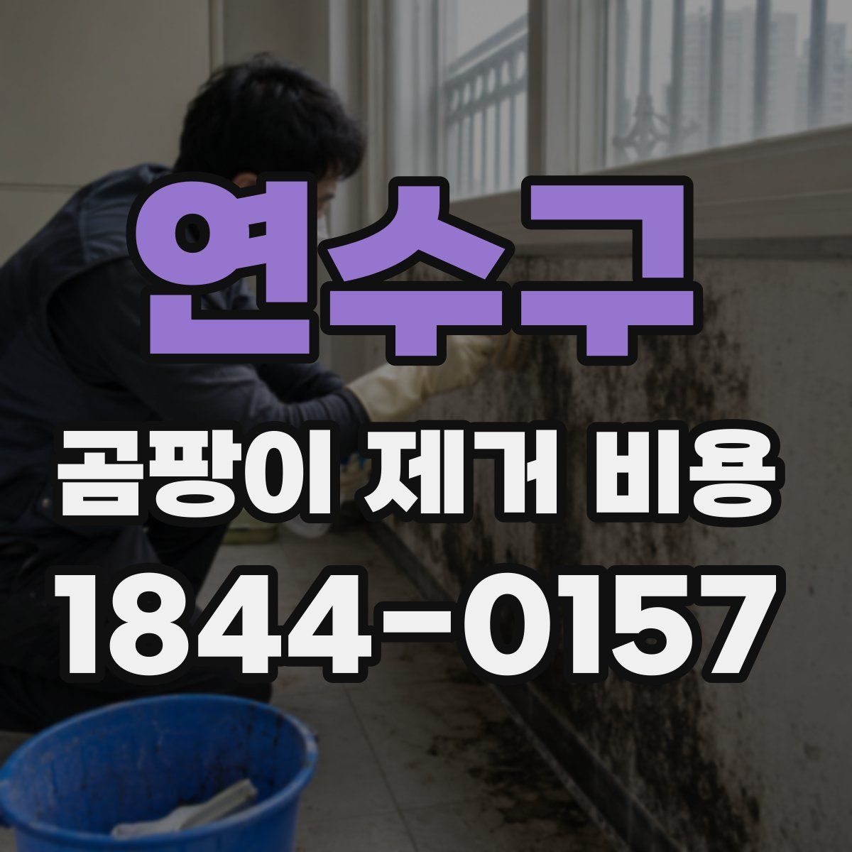 연수구 곰팡이 제거 비용