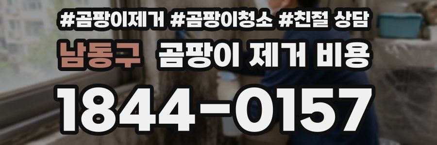남동구 곰팡이 제거 비용