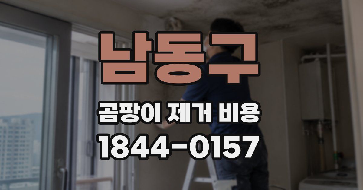 남동구 곰팡이 제거 비용