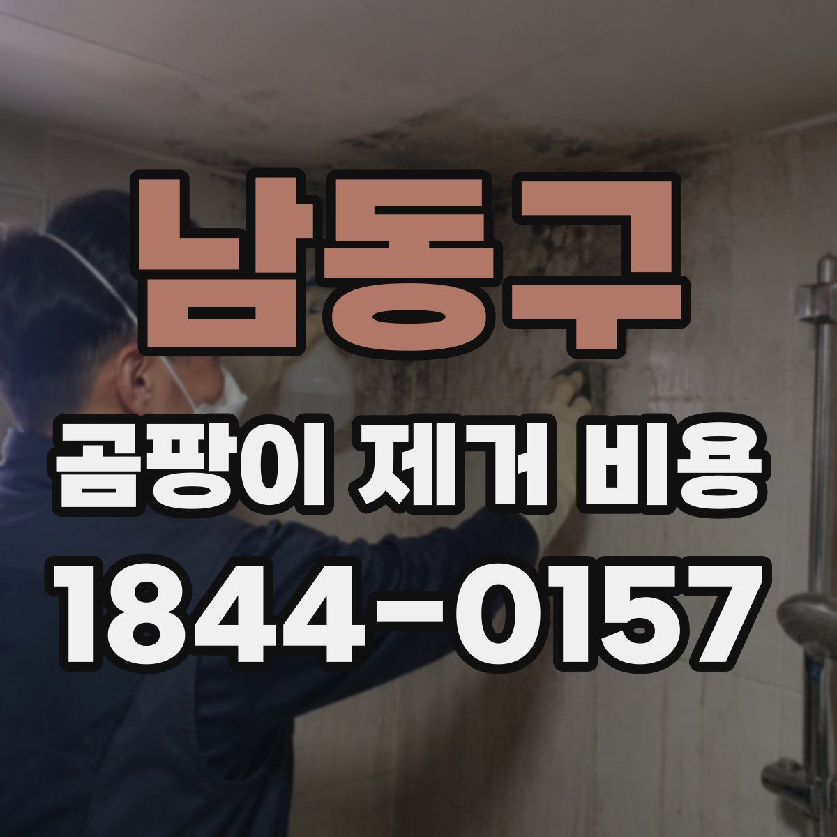 남동구 곰팡이 제거 비용