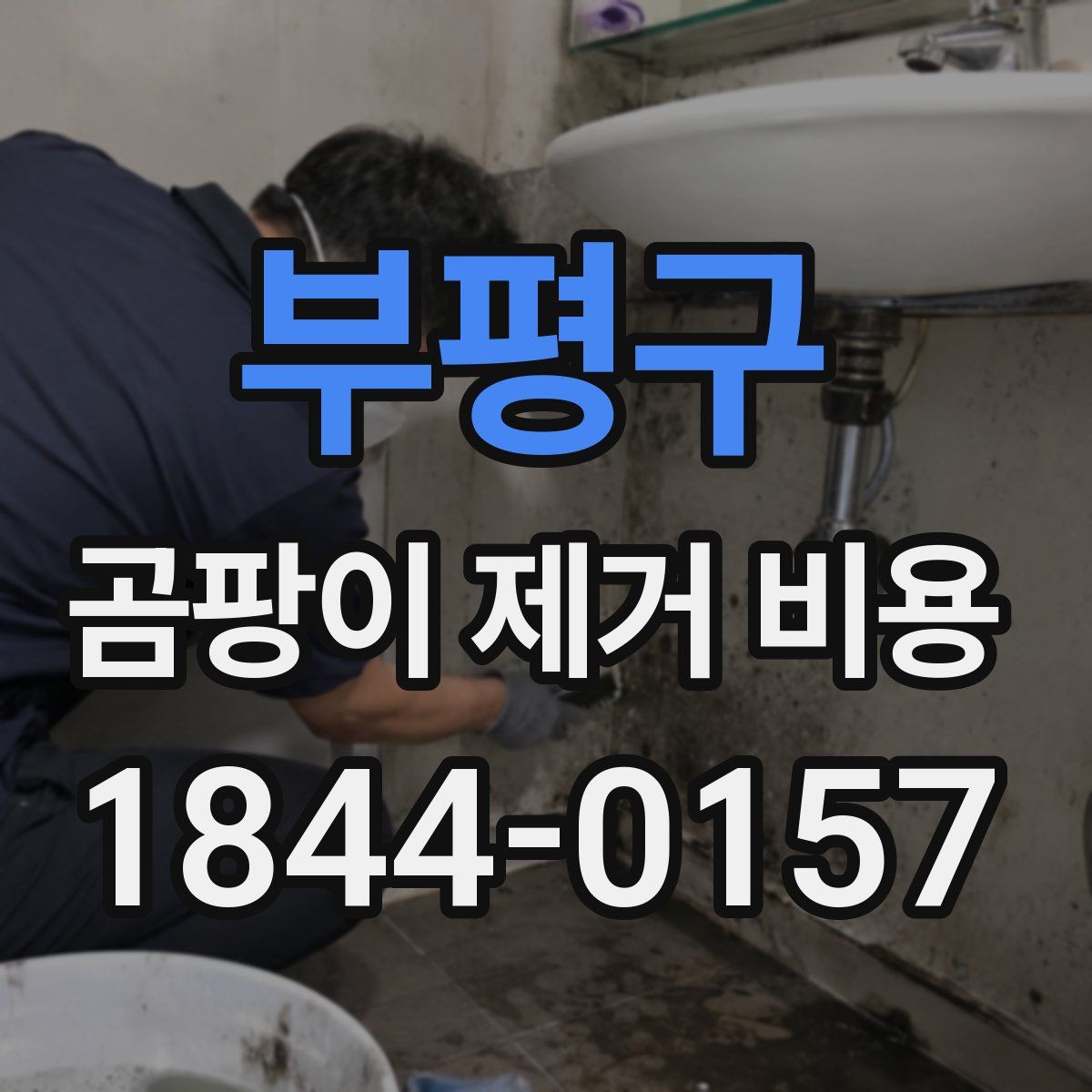 부평구 곰팡이 제거 비용