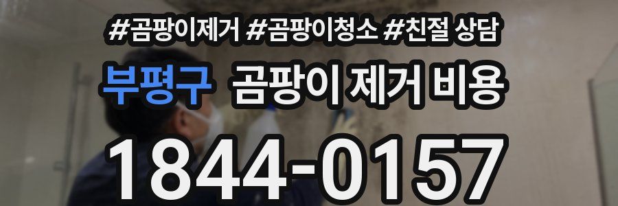 부평구 곰팡이 제거 비용