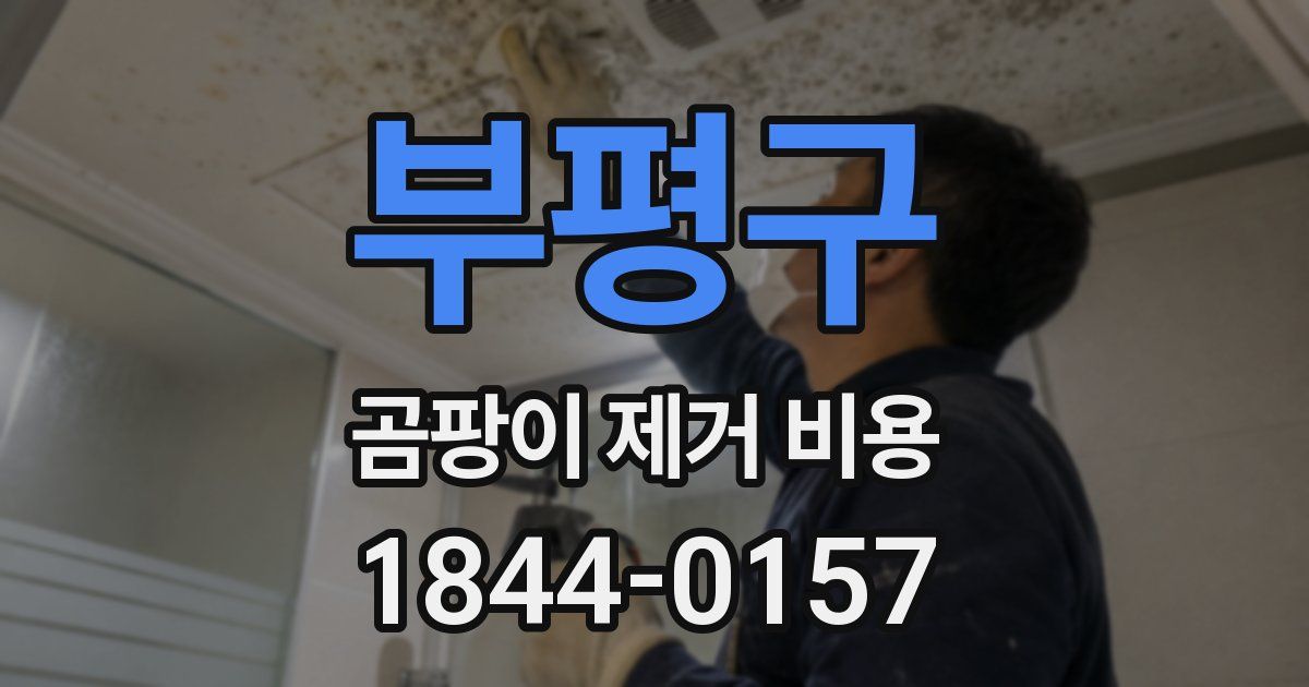 부평구 곰팡이 제거 비용