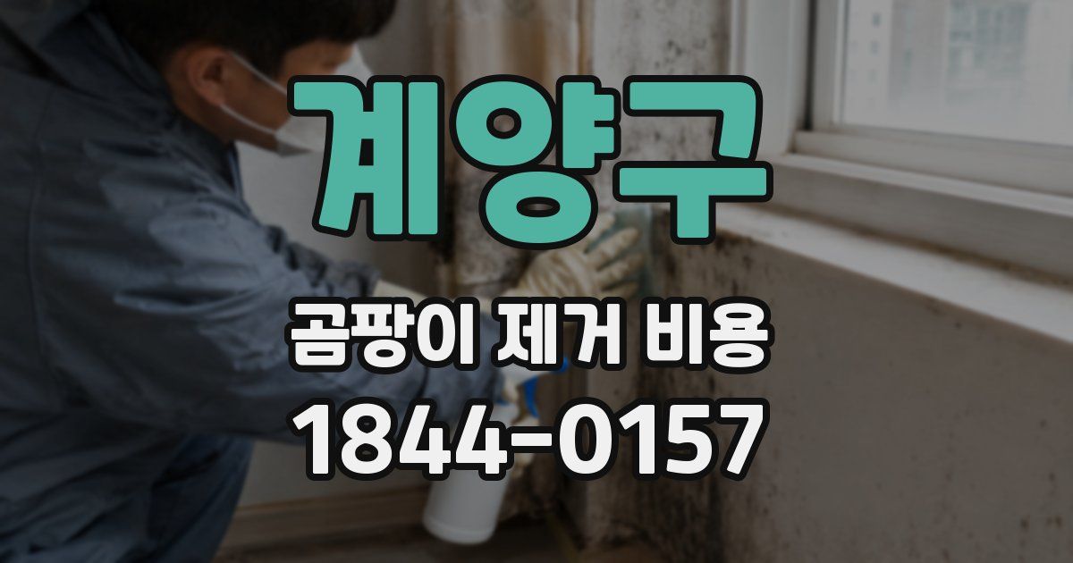 계양구 곰팡이 제거 비용