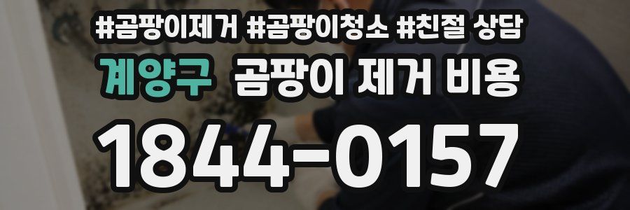 계양구 곰팡이 제거 비용