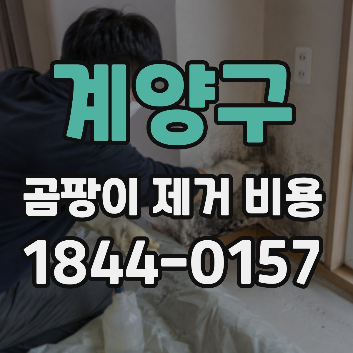계양구 곰팡이 제거 비용