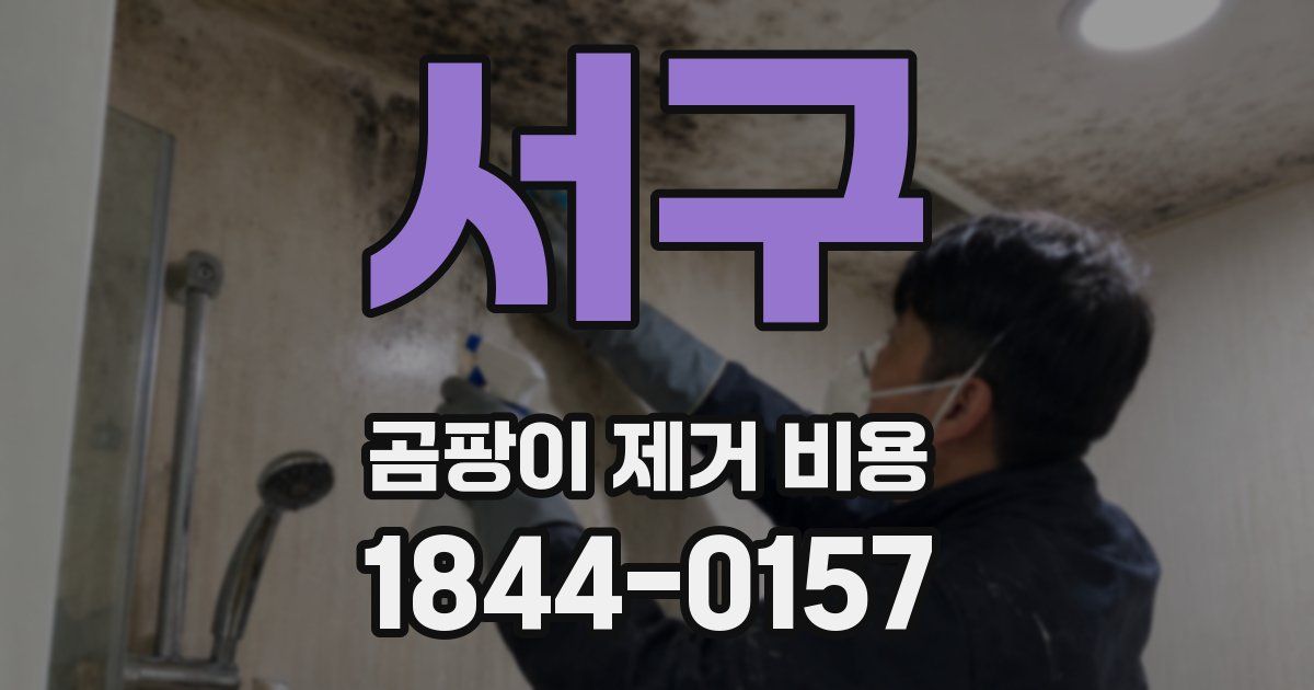 서구 곰팡이 제거 비용