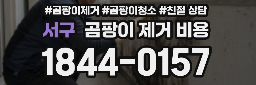 서구 곰팡이 제거 비용