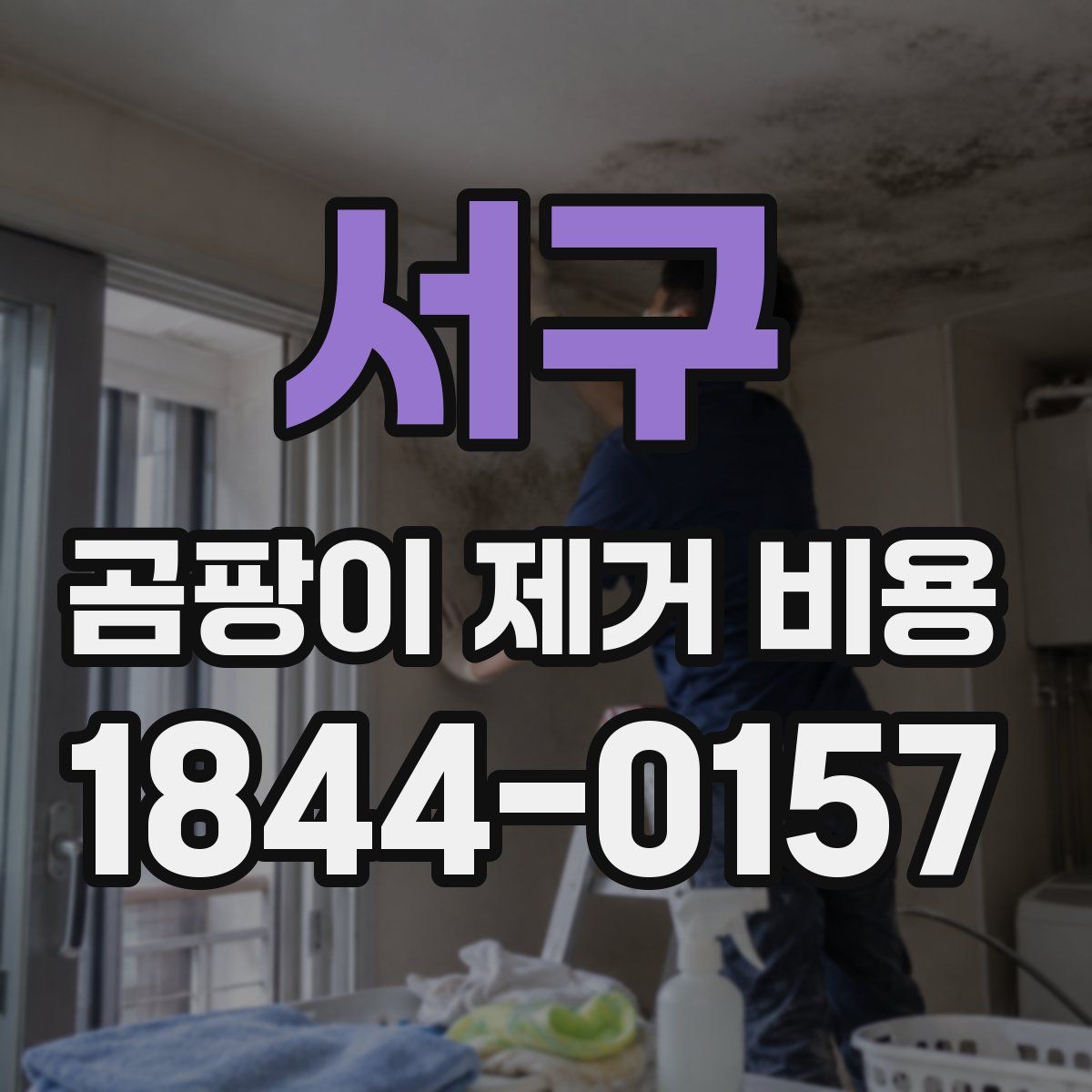 서구 곰팡이 제거 비용