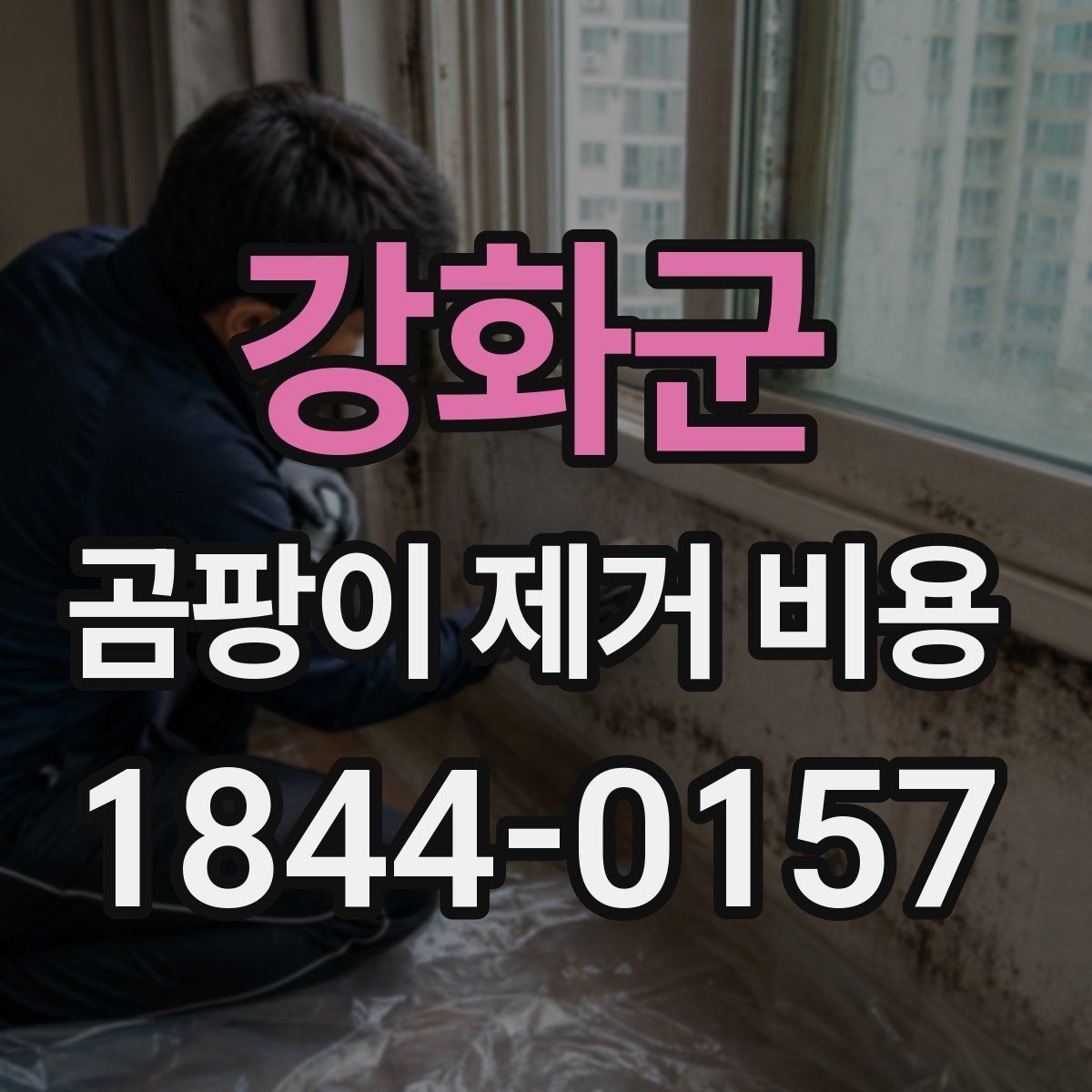 강화군 곰팡이 제거 비용