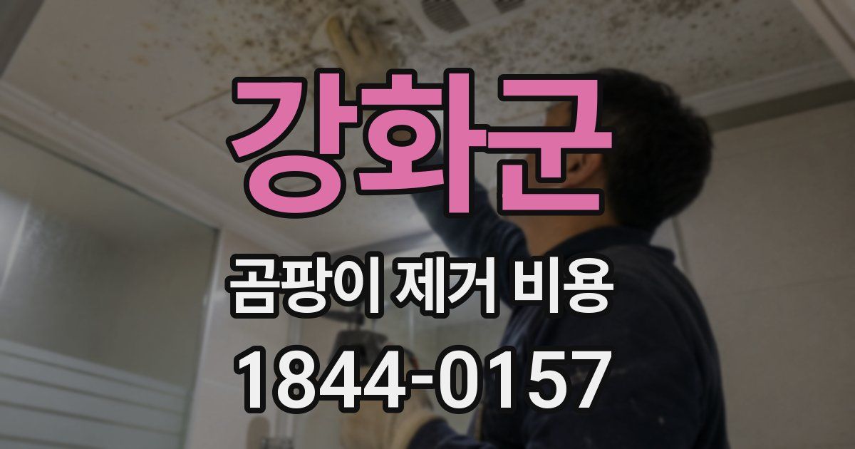 강화군 곰팡이 제거 비용