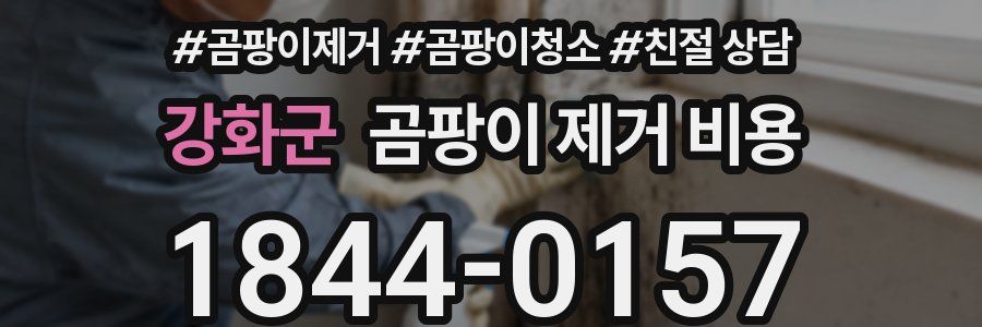 강화군 곰팡이 제거 비용