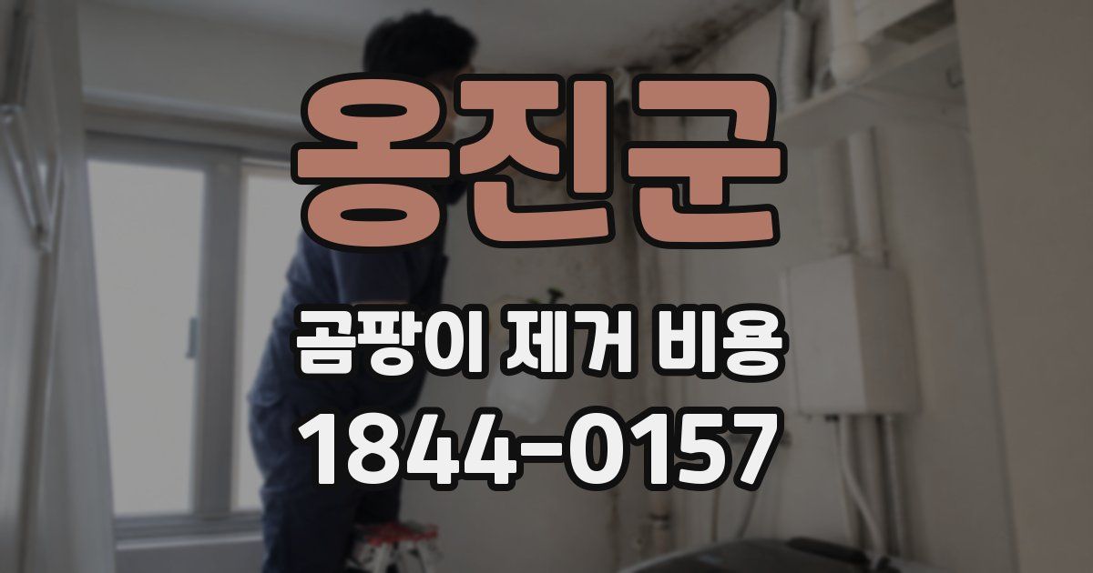 옹진군 곰팡이 제거 비용