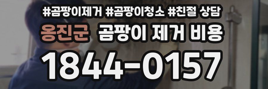 옹진군 곰팡이 제거 비용