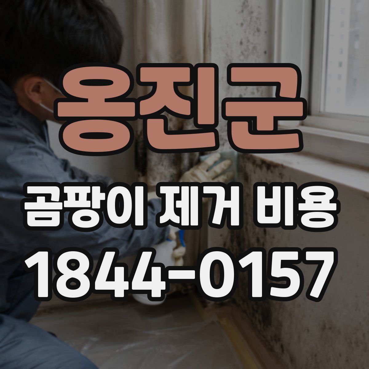 옹진군 곰팡이 제거 비용