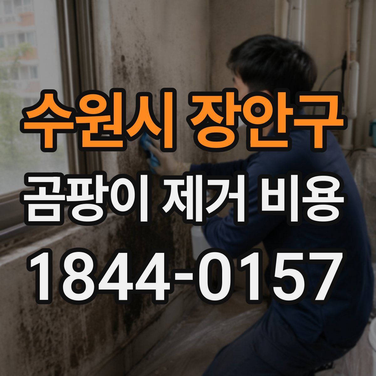 수원시 장안구 곰팡이 제거 비용