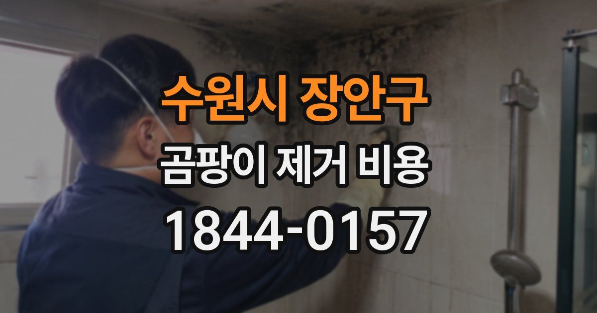 수원시 장안구 곰팡이 제거 비용