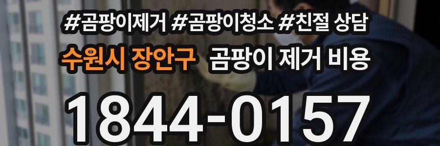 수원시 장안구 곰팡이 제거 비용