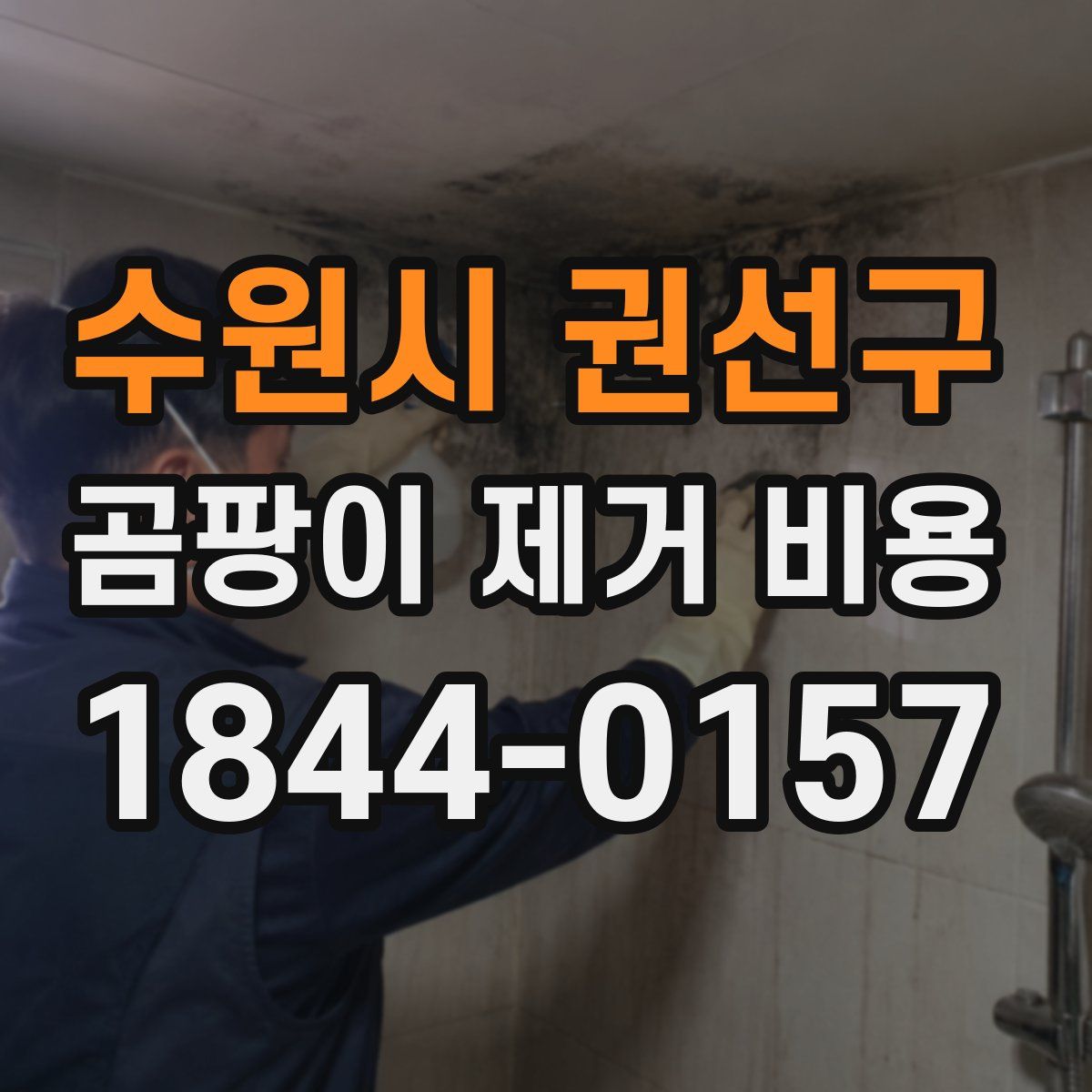 수원시 권선구 곰팡이 제거 비용