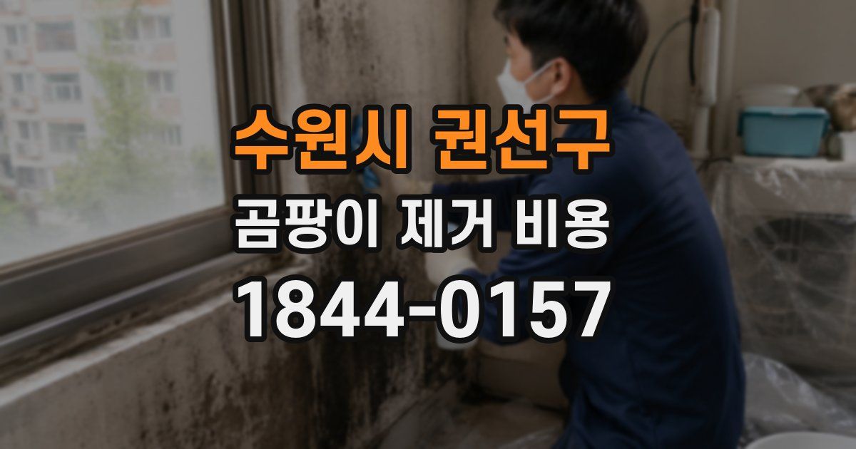 수원시 권선구 곰팡이 제거 비용