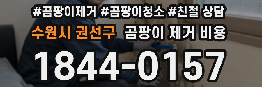 수원시 권선구 곰팡이 제거 비용